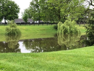 Water In The Farm