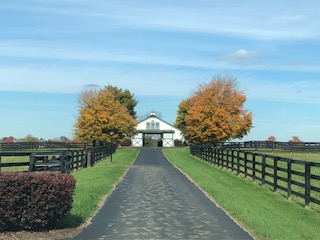 Barn