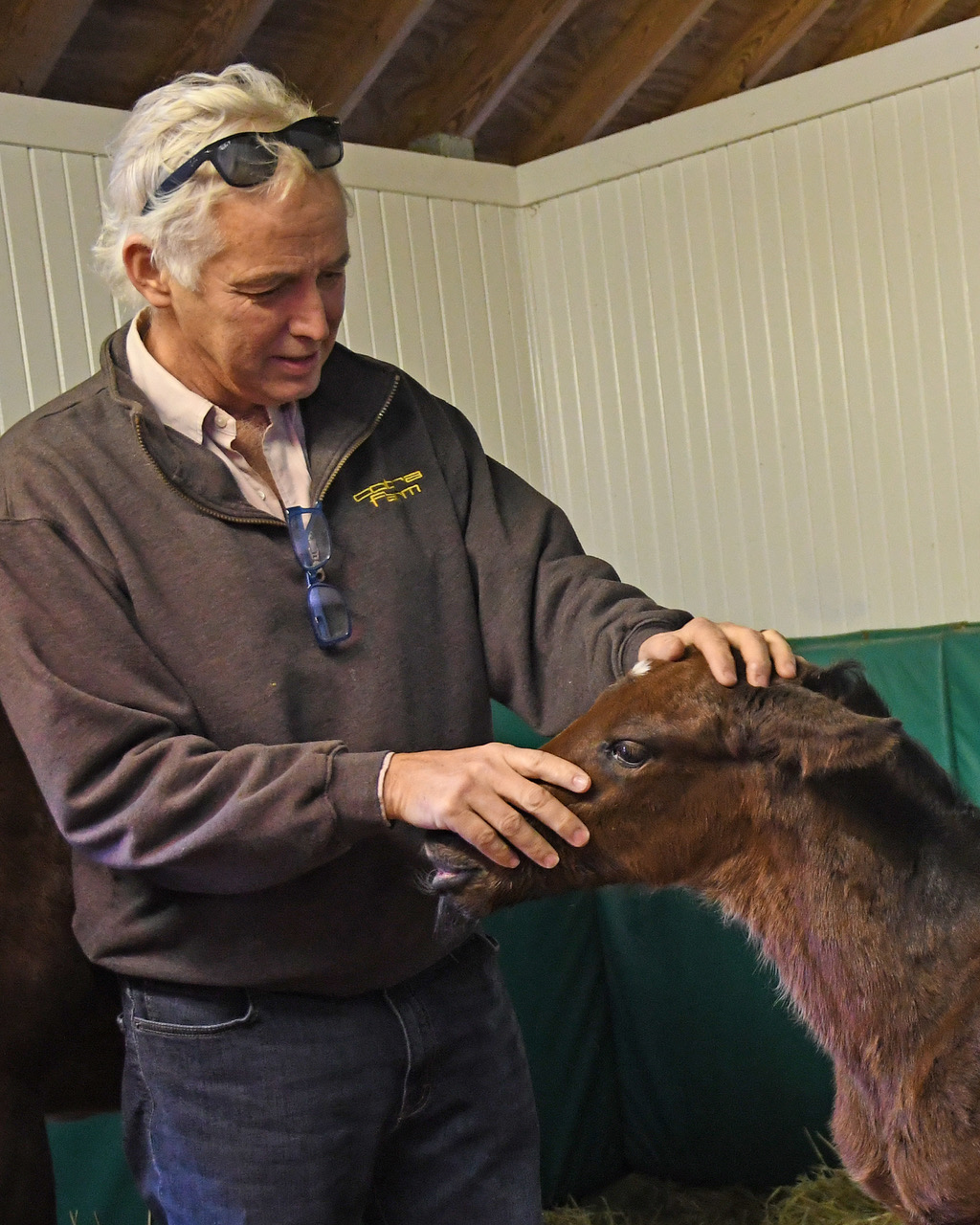 Man with Foal